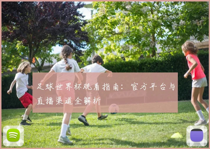足球世界杯观看指南:官方平台与直播渠道全解析