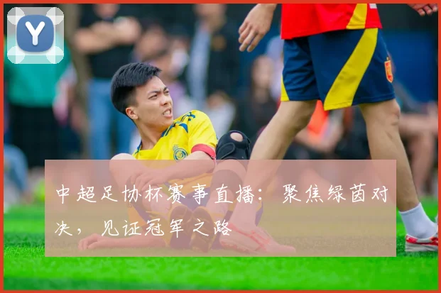 中超足协杯赛事直播：聚焦绿茵对决，见证冠军之路
